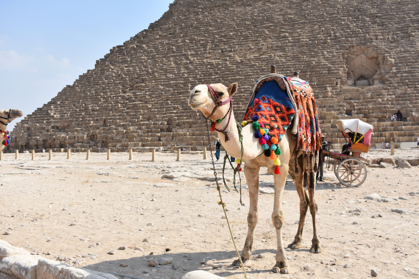 10 Photos that will make you want to travel to Egypt TODAY!